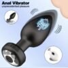 VIP13 Remote Control Vibrating Anal Plug - 10-Frequency Wireless Butt Plug